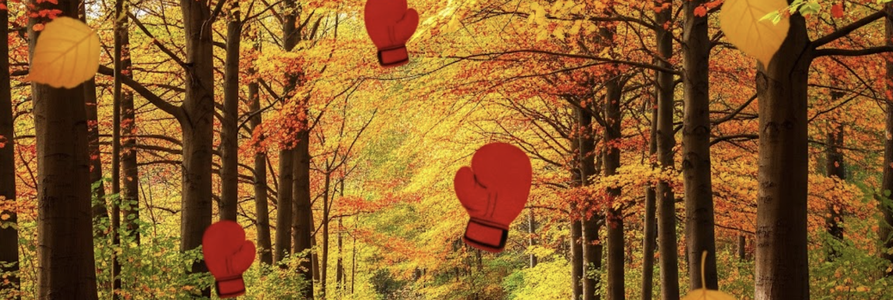 fall leaves boxing gloves